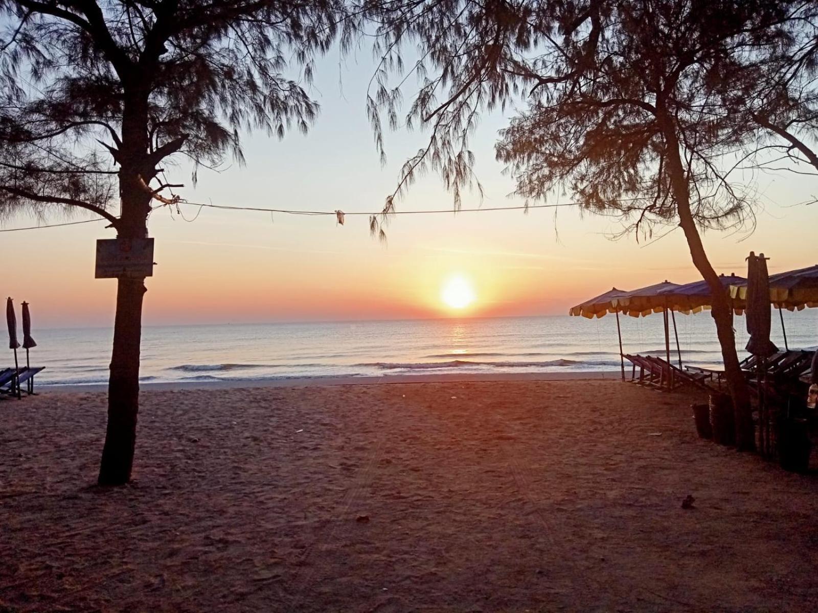 Shady Palms Guest House Cha Am Beach Cha-Am Ngoại thất bức ảnh